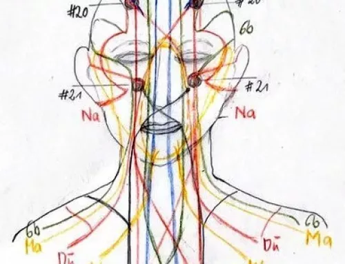 Die Energiebahnen im Kopf