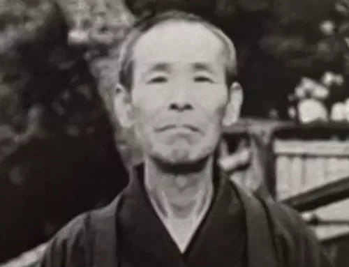 Was ist Jin Shin Jyutsu oder auch Japanisches Heilströmen?