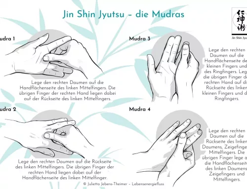 Jin Sin Jyutsu – Die 8 Mudras