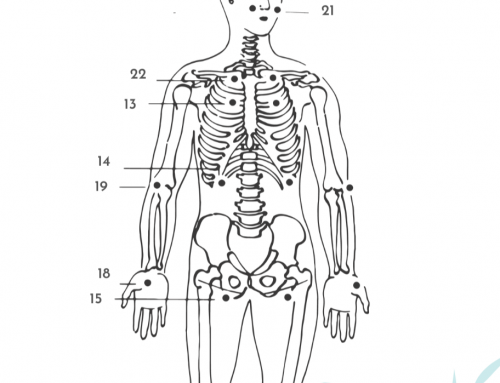 Die 26 Persönlichen Energetischen Zentren (PEZ) – Auf- und Absteigende Energie im Jin Shin Jyutsu