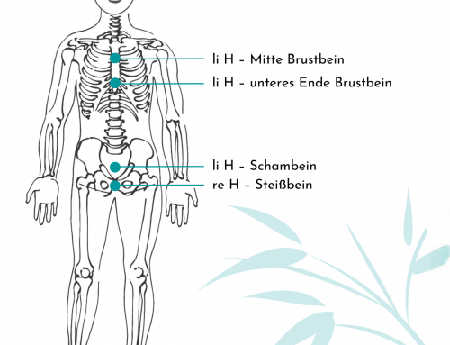 Die Hauptzentrale Vertikale Harmonisierungsenergie – Der Zentralstrom