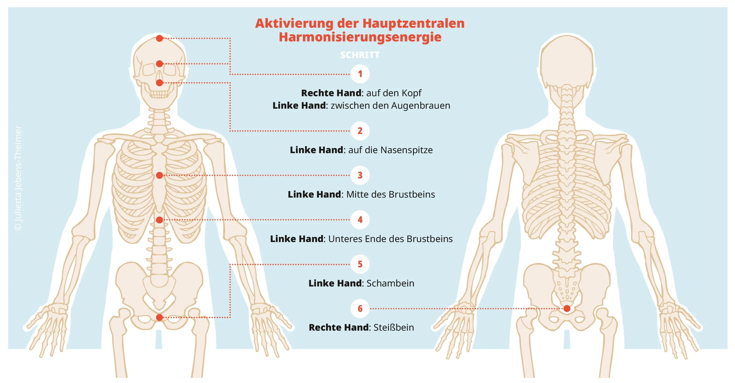 Körperschema des Jin Shin Jyutsu Hauptzentralstroms: Teal-farbige Energiepunkte an Kopf, Brustbein, Schambein und Steißbein mit Angabe der Handpositionen