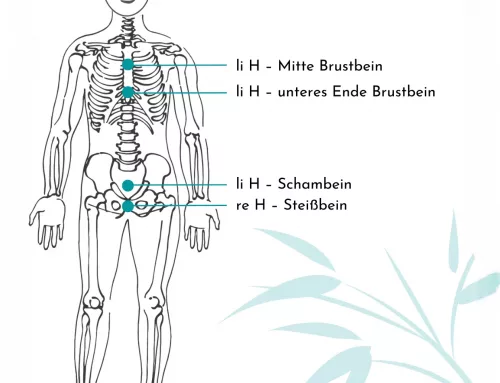 Die Hauptzentrale Vertikale Harmonisierungsenergie – Der Zentralstrom
