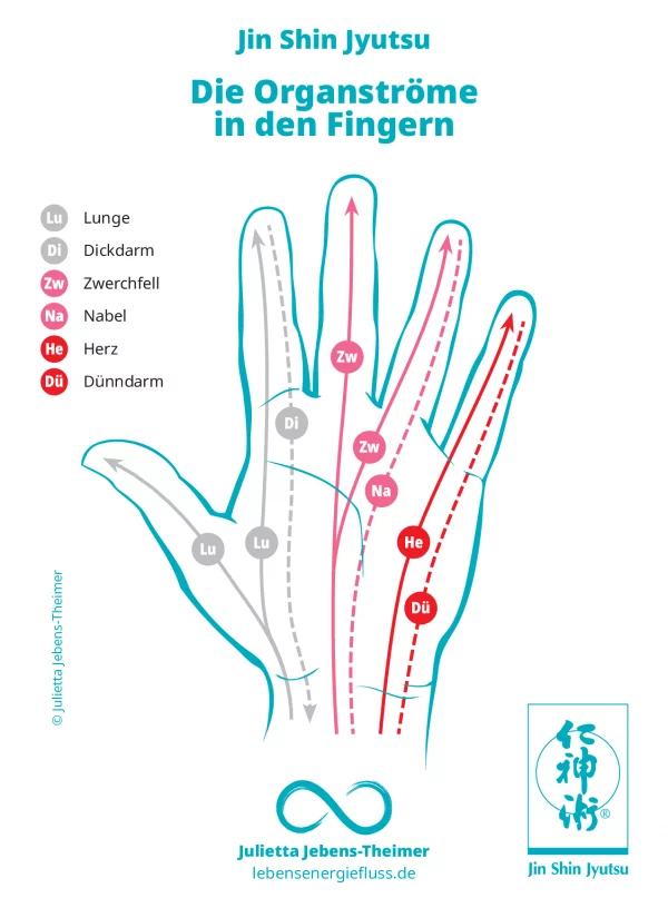 Jin Shin Jyutsu – Die Organströme in den Fingern Grafik zu Jin Shin Jyutsu: Verlauf der sechs Organströme (Lunge, Dickdarm, Zwerchfell, Nabel, Herz, Dünndarm) in den Fingern einer Hand, dargestellt mit Farbcode und Pfeilen