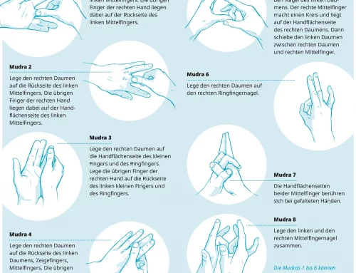 Jin Shin Jyutsu – Die 8 Mudras